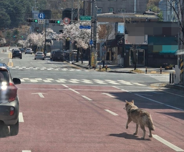 기사와 무관한 사진 / 충청뉴스DB