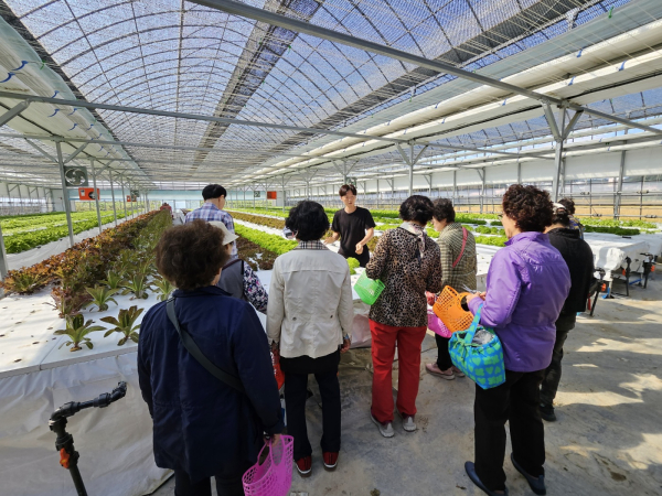 어르신을 대상으로 원예 치유 프로그램을 진행하는 풀하우스