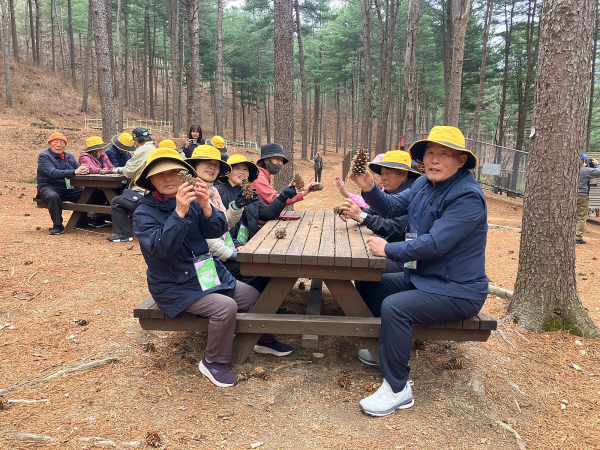 지난 8일, 춘천숲체원 잣나무숲에서 소양강댐노인복지관 어른신들이 잣송이를 가지고 오감체험을 하고 있다.