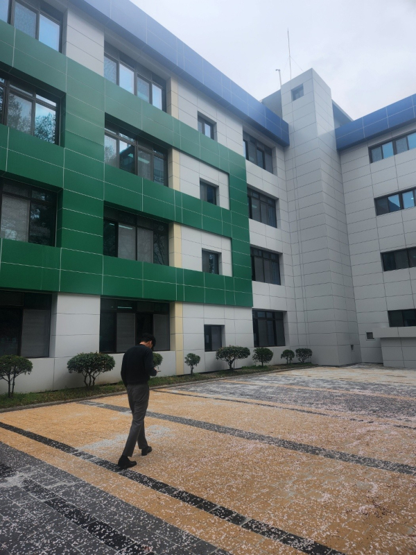 대전서중학교 내진보강사업 완료 사진