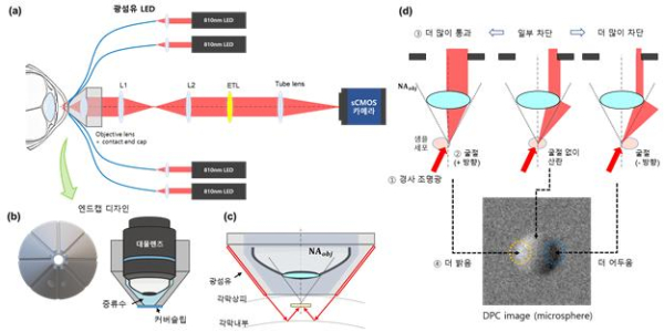 각막 신경 및 면역세포 영상화를 위한 차등 위상 대비(DPC) 기반 광학 영상 시스템 개략도