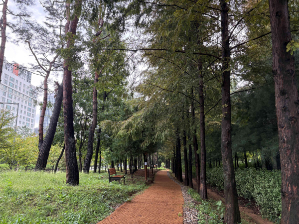 새롬동 둘레길 모습