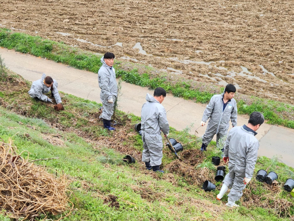 깨끗한 축산농장 방취림 조성을 위해 임직원들이 식목작업을 진행중인 사진