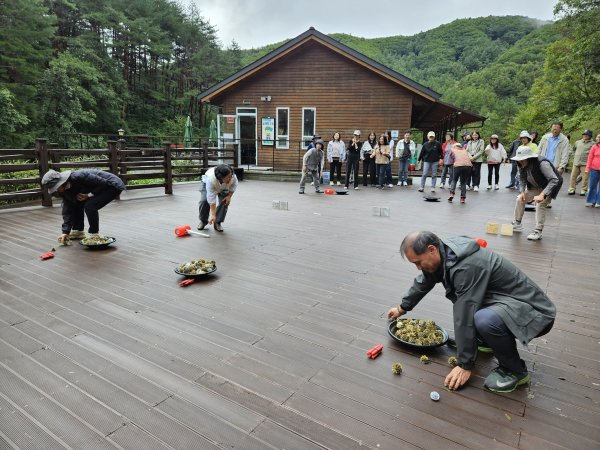 국립양평치유의숲에서 금광굴 탐방에 앞서 프로그램  참여자들이 광부게임을 체험하고 있다.