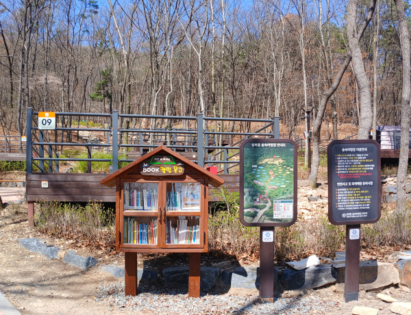 성북동 숲속야영장에 조성된 ‘BOOK캠핑 문고’ 사진