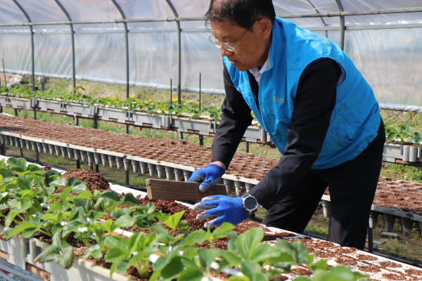 농촌일손돕기 진행 모습