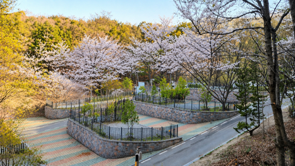 영인산자연휴양림 숲속야영장,(스카이어드벤처 개장 및 무료순환버스 운행)