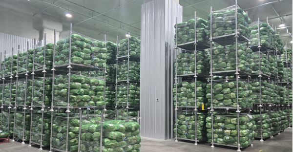 민간창고 비축농산물 보관 사진(배추)