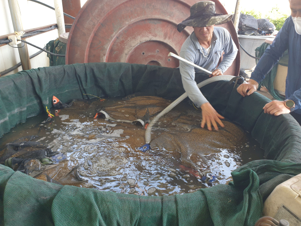 볍씨 종자소독 모습