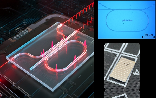 이중 도파로 공진기 연구이미지