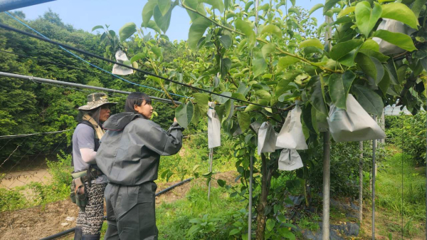 봄철 영농종합상황실 운영