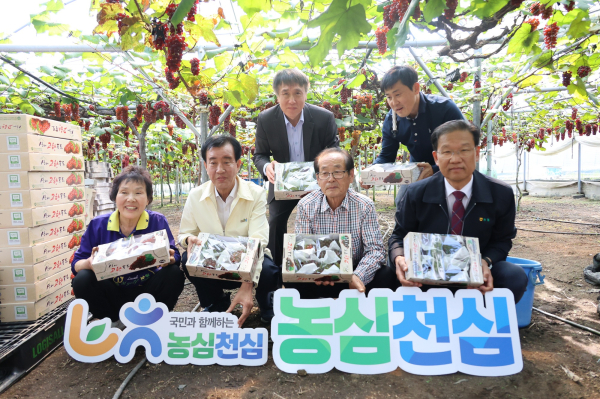 대전 산내농협, 델라웨어 포도 전국 첫 출하 기념사진