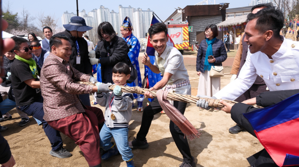 캄보디아 줄다리기 모습