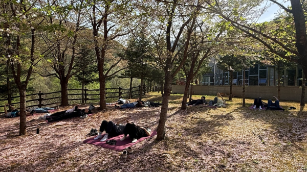 지난 18일, 임신부부들이 숲에 누워 가벼운 운동을 통해 몸을 이완하고 태아와 교감하고 있다.