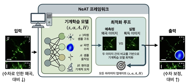 형광 현미경 왜곡 보정을 위한 프레임워크