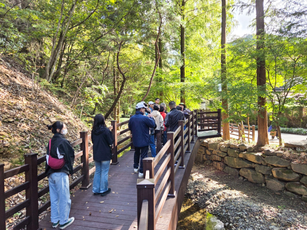지난해 진행된 숲 체험 활동
