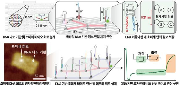 DNA 기반 초미세⋅초저전력 연산이 가능한 바이오 메모리 회로 구현