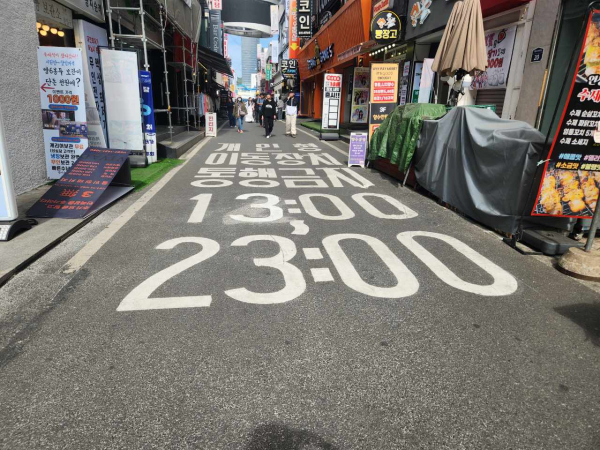 으능정이거리 일원 PM없는 거리 사진