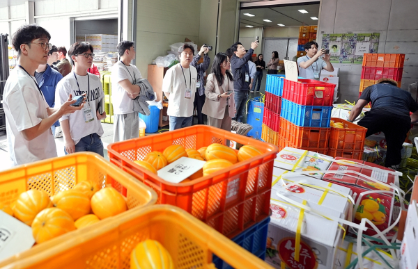 산지팸투어 현장 참여사진