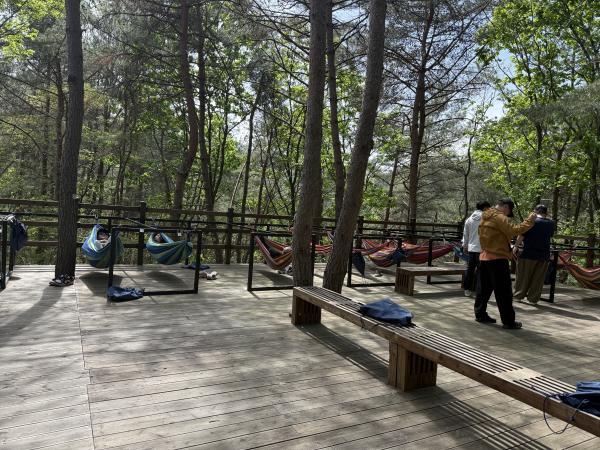 지난 23일, 국립양평치유의숲에서 ‘토닥토닥 숲길잡이’ 프로그램 참여자들이 사부작길을 걷고, 쉼터 해먹에서 숲을 만끼하고 있다