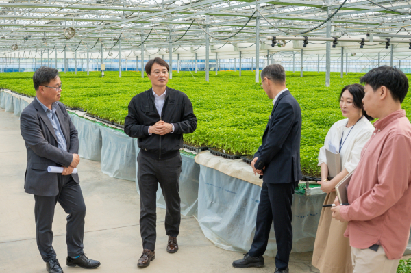 지난 24일, 전상욱 부군수가 고추육묘장 등을 방문해 최종 점검을 하고 있다.