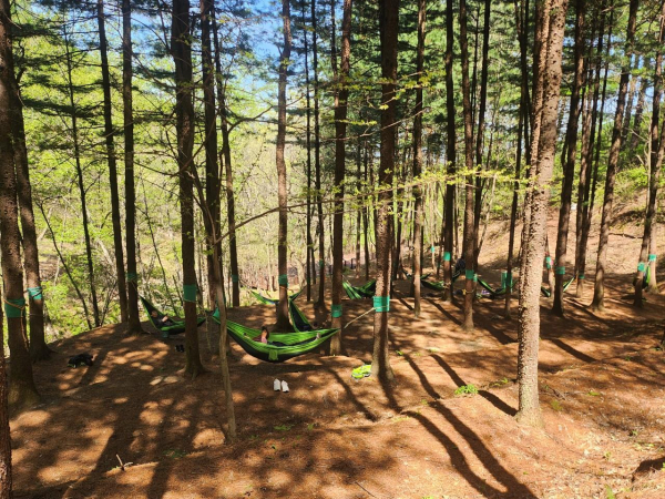 국립산림치유원(경북 영주시 봉현면 일대)에서 산불 피해 주민들에게 산림치유 프로그램 ‘숲속 활인심방’을 진행(해먹체험)