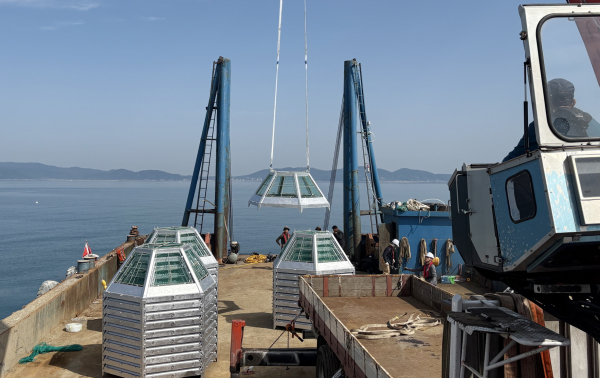 꽃게산란장 인공시설물 설치 모습