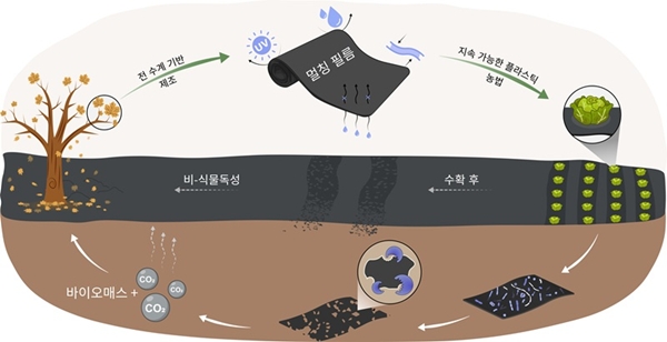 활용도가 낮은 낙엽을 업사이클링해 자연 토양에서 생분해되는 멀칭 필름으로 전환하는 친환경 전략과 지속가능한 플라스틱 농업(plasticulture) 적용 개념도