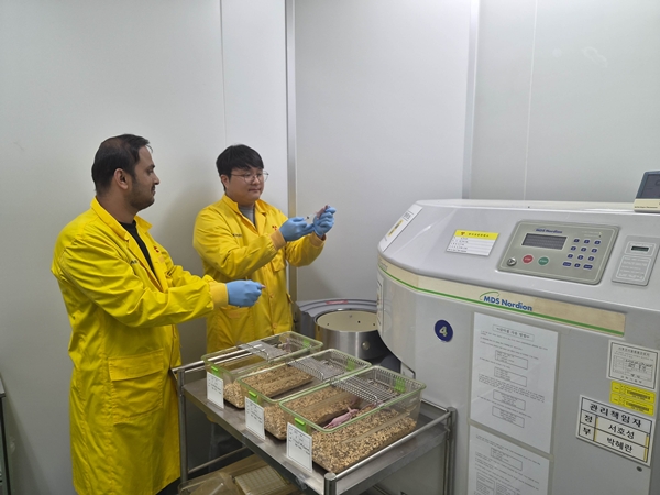 헤스페리딘 효능 평가 실험 모습