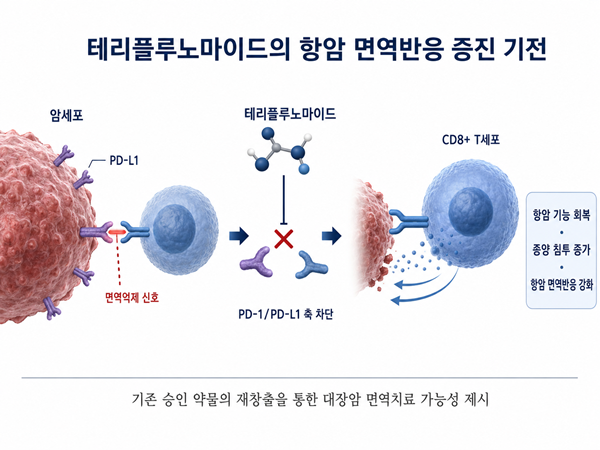 면역관문 조절 기전 이미지