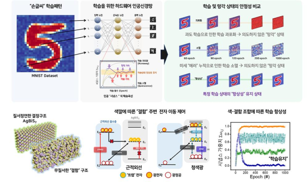 빛의 색으로 ‘외우기’와 ‘잊기’를 조절하는 뇌 모방 광시냅스