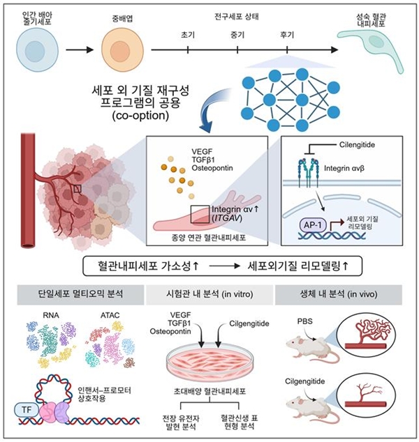 연구개요도