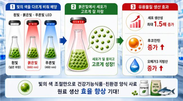 연구 요약 모식도