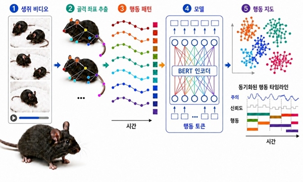 BehaVERT 파이프라인 개요도