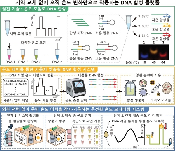온도 제어만으로 맞춤 DNA 서열 합성이 가능한 다목적 DNA 합성 플랫폼