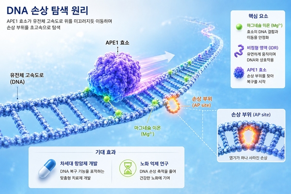 연구 설명 이미지