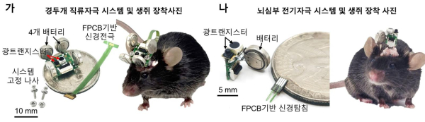 적외선 기반 초경량 무선 신경조절 시스템과 자유행동 생쥐 적용