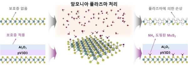 초박막 보호층을 이용한 손상 없는 2차원 반도체 플라즈마 도핑