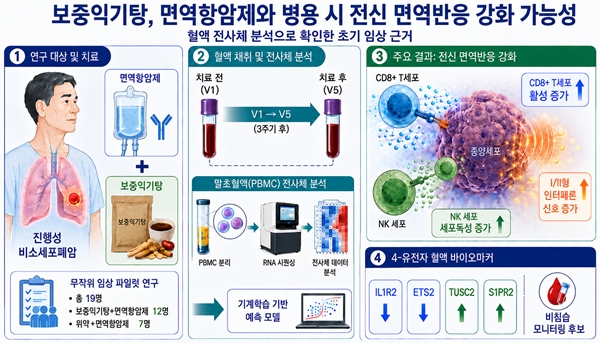보중익기탕 병용에 따른 전신 면역반응 변화 모식도