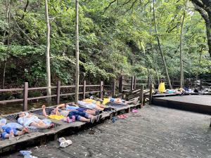 국립산림치유원, 아토피 피부염 완화 가족캠프 '산림치유 효과' 톡톡 - 뉴스 썸네일 이미지