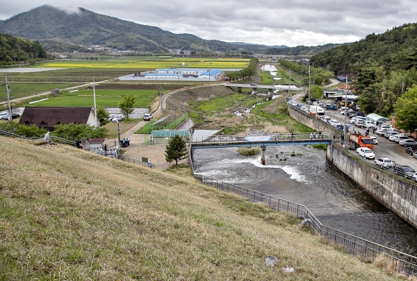 26일 전남영광 불갑저수지 통수식을 진행하고 만9천km 물길을 따라 본격 영농급수를 시작했다
