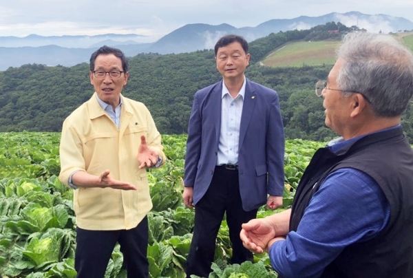 고랭지배추 현장을 살펴보고 있는 이병호 aT 사장