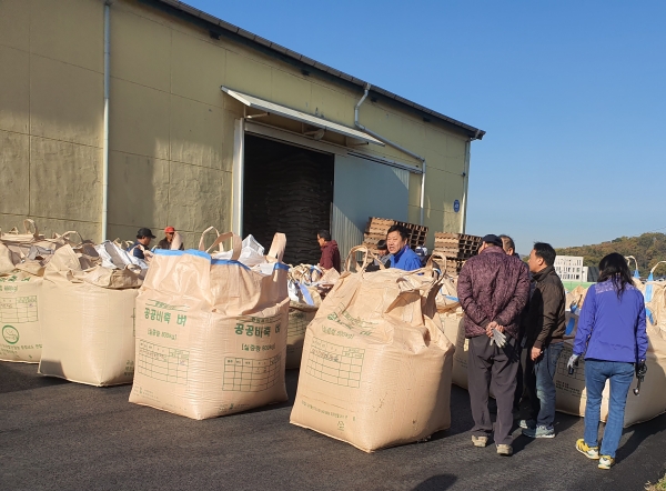 태풍피해 벼 수매현장