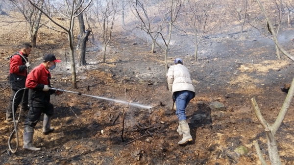 산불진화대 산불진화 장면