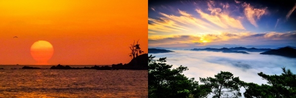 (좌)사인회 사진전_송동섭, (우)사인회 사진전_송번영