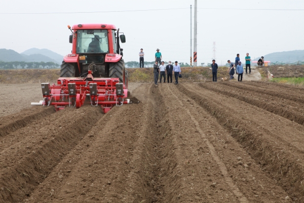 콩 기계화 파종 시연 모습