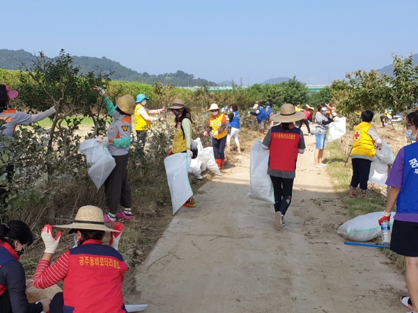 미르섬 수해복구 봉사활동