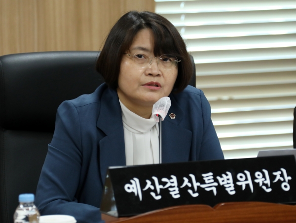 손현옥 예산결산특별위원장