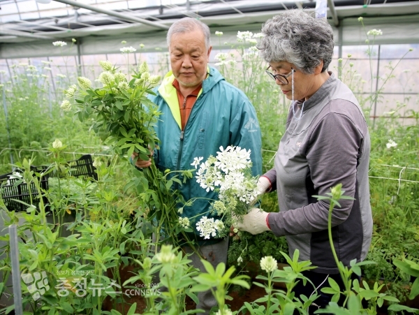 시설원예 에너지절감 패키지 시범사업(김현진 화훼농가)