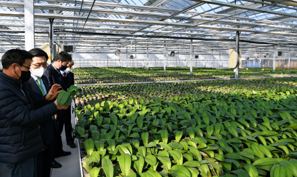 화훼농가 방문 현장 사진 * 한국농수산식품유통공사 김춘진 사장(좌측 2번째), 송정농원 황문구 대표(좌측 1번째)